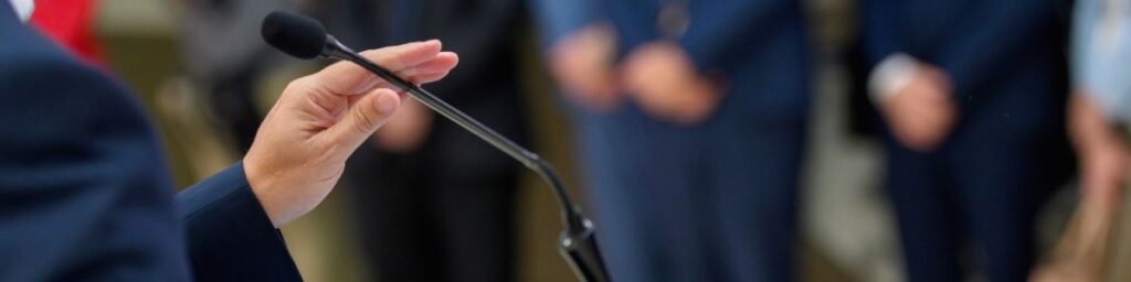 Siyasal Temsil Nedir, Nasıl İşler