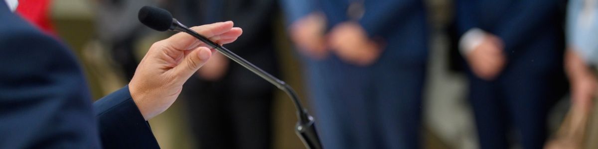 Siyasal Temsil Nedir, Nasıl İşler