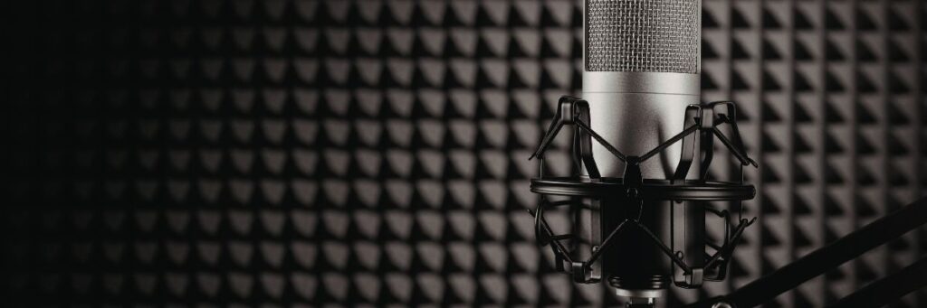 Yankı Odaları ve Kutuplaşma