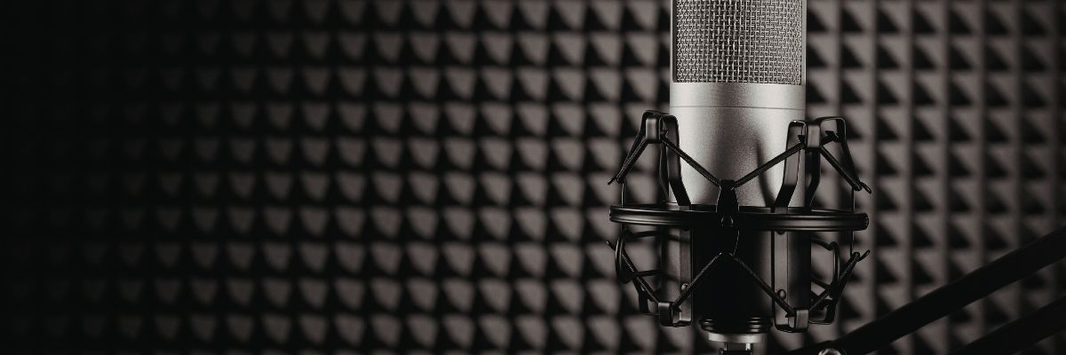 Yankı Odaları ve Kutuplaşma